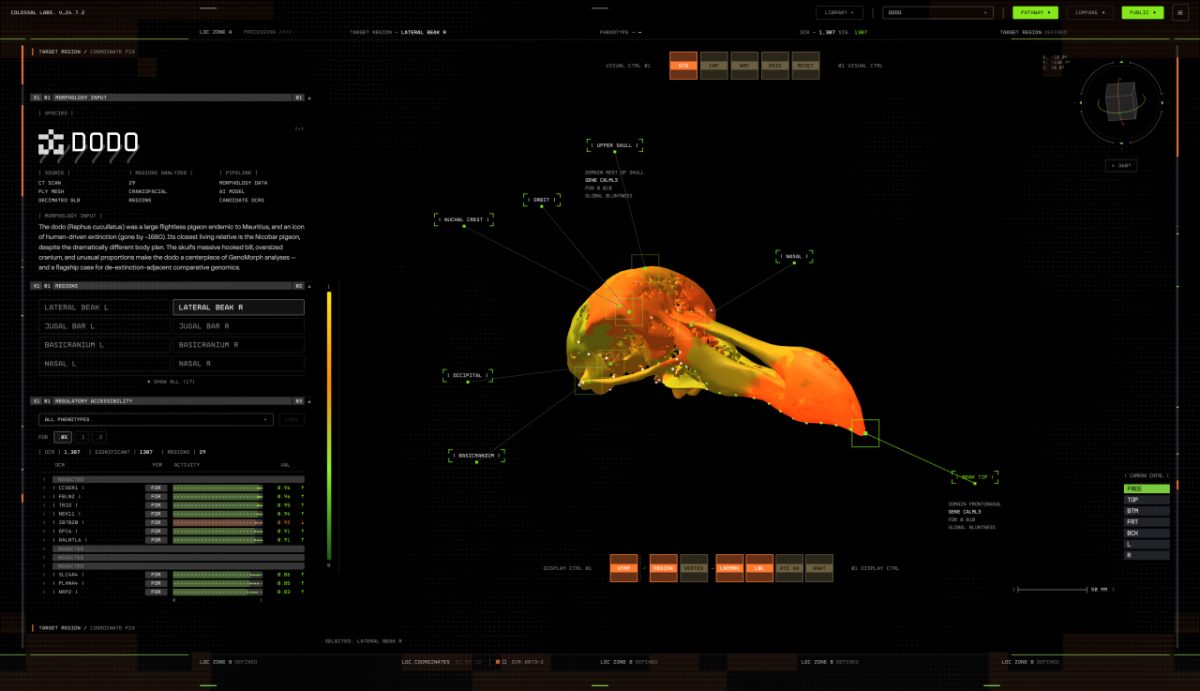 Colossal Unveils GenoMorph AI to Hunt Dodo Gene Edits From Sparse DNA